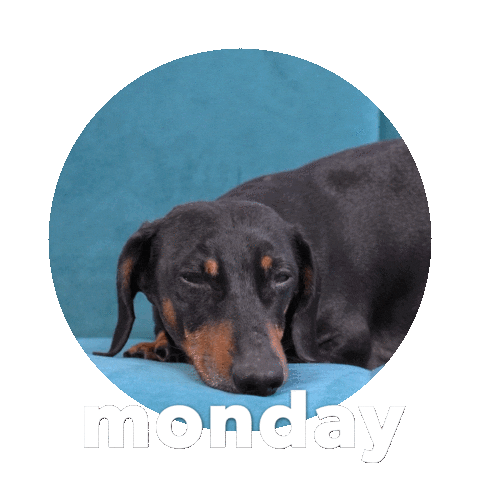 Happy Monday Sticker By Sealed With A GIF