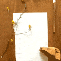200.gif?cid=fc005b081dcafde311ee3c29c2189b3494e8b3bc52dcad9a&rid=200.gif&ct=g