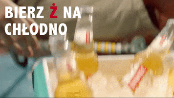 Beer Chill GIF by Żywiec