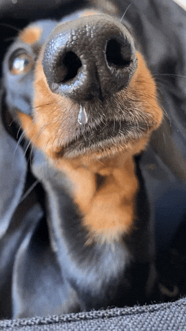 Cold GIF
