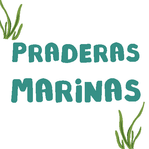 investigacionuca Sticker