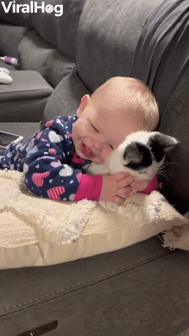 Baby Loves Her New Kitten GIF by ViralHog