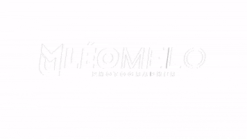 leomelophotooficial GIF