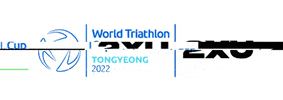 Korea Triathlon Federation GIF
