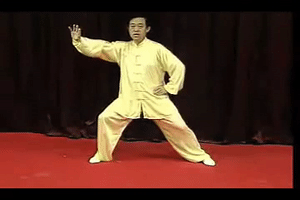 Martialab  GIF