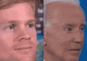 Biden Reaction GIF by MOODMAN