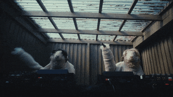 Dj GIF