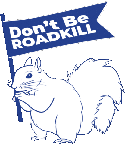 Squirrel Roadkill Sticker by Glennda Baker
