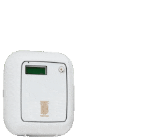 Thomas Blonde Sticker