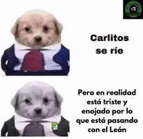Club Leon GIF
