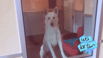 200.gif?cid=fc005b083281145ac2f8283d26ea253e7020578f89d61174&rid=200.gif&ct=g