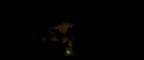 disney pixar friendship GIF by Disney