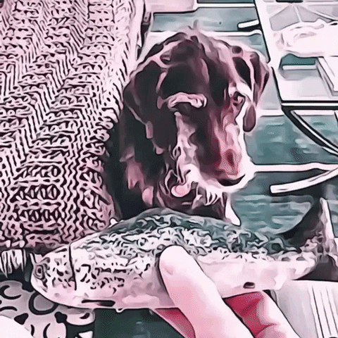 You Got This Good Boy GIF by The3Flamingos