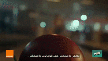 Tiger Egypt Foods GIF