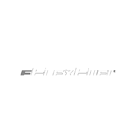 eflexfuel Sticker