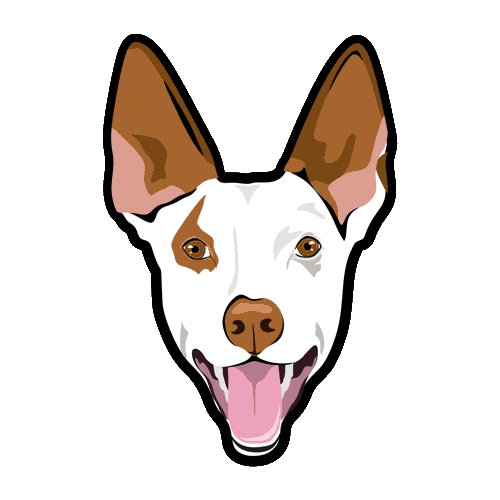 Dog Podenco Sticker by Patitas Barcelona