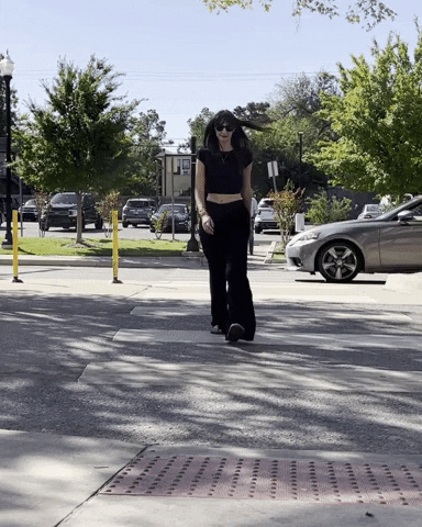 Walking Crosswalk GIF by Jenn Robbins