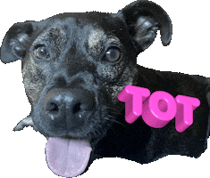 Tot Sticker