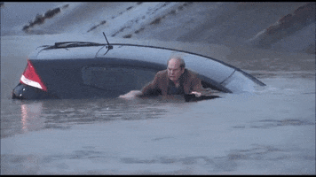 margogothelf02gmailcom  GIF