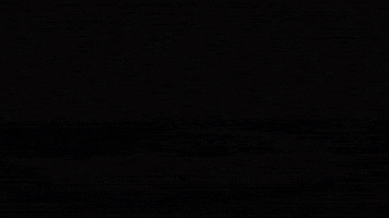 GIF by Little Wings Australia