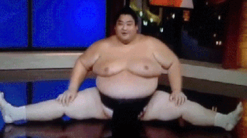 sumo wrestler GIF