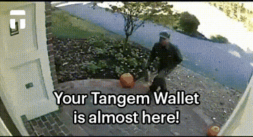 Cold Storage Crypto GIF by Tangem