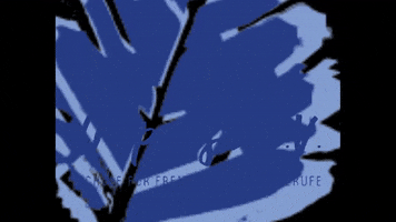 Impulse_Schule GIF