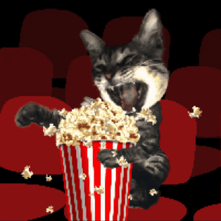 Cat Eating GIF