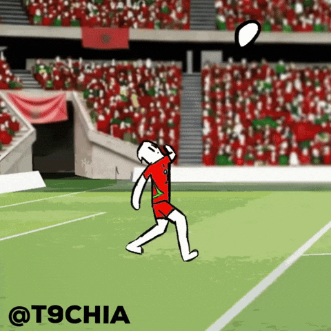 National Team Football GIF