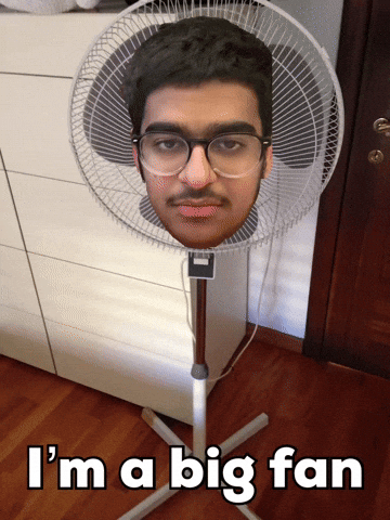 Big Fan GIF