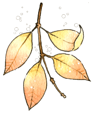 Fall Leaves Sticker by Linouspots