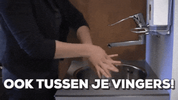 anneliesarendsen  GIF