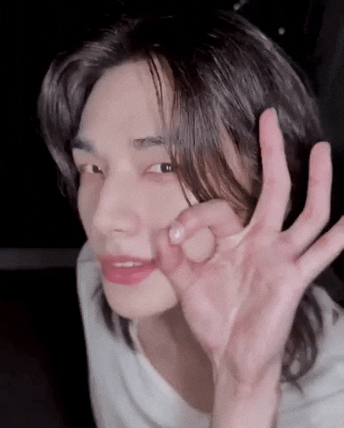 Stray Kids Hj GIF