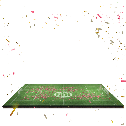 Football Sticker by Fini Company Brasil