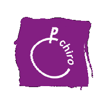 Logo Paars Sticker by Chiro