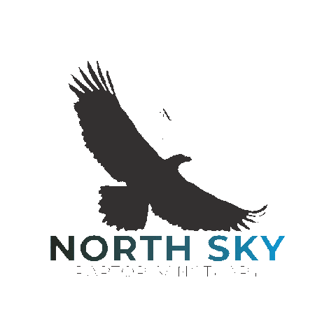 NorthSkyRaptor Sticker