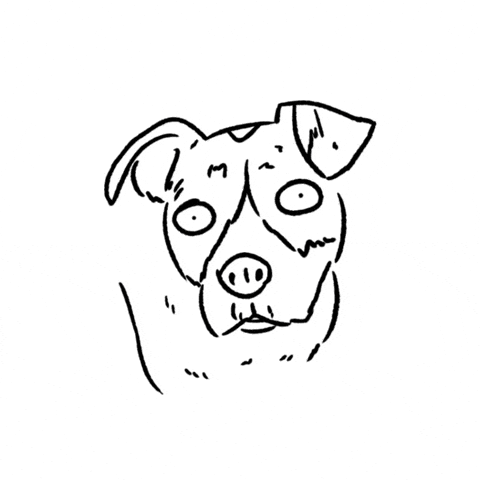 Excuse Me What GIF by butpoorlydrawn