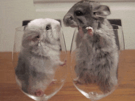 Friends Mouse GIF