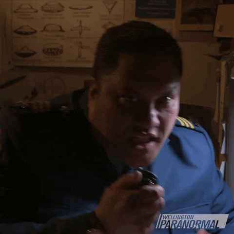 Power Parker GIF by Wellington Paranormal