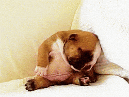 200.gif?cid=f0bdee70zntjige9go3cwfpqvfxp8hqau8wk5ssbps9vxj50&rid=200.gif&ct=g
