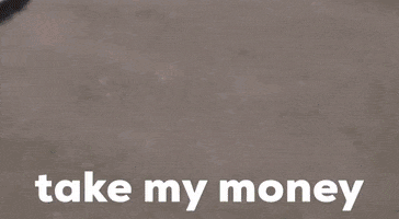 Take My Money GIF by Luke Guy