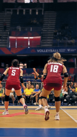 Sport Smash GIF by Volleyball World