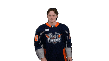 Game Day Win Sticker by Flint Firebirds