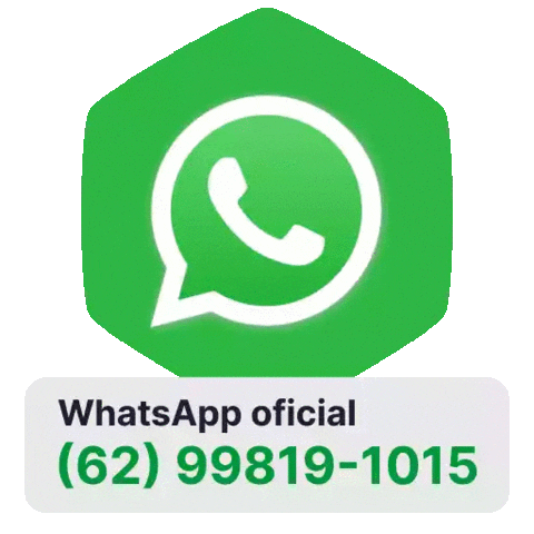 Brasis Seguros Sticker
