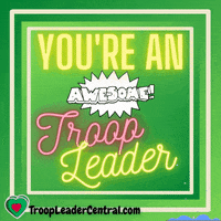 Youre Awesome GIF by Troop Leader Central