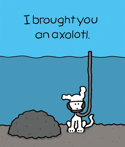 Dogs Axolotl GIF by Chippy the Dog