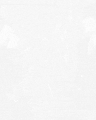 Suzy GIF