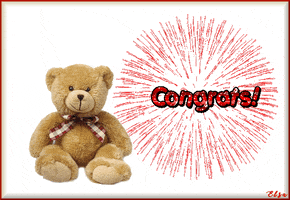 Teddy Bear Congrats GIF
