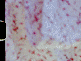 200.gif?cid=fc005b0871e497ed6aad6839b259a4b37408af9ef0aa2b28&rid=200.gif&ct=g