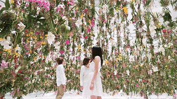 200.gif?cid=fc005b08110725439c6f5b8f004bbcd934fe7a12b7bb21a6&rid=200.gif&ct=g